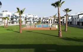 Oasis Beach El Raso XIV